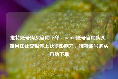 推特账号购买自助下单，twitter账号自助购买，如何在社交媒体上获得影响力，推特账号购买自助下单