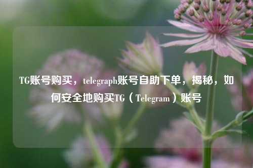 TG账号购买	，telegraph账号自助下单，揭秘，如何安全地购买TG（Telegram）账号  第1张