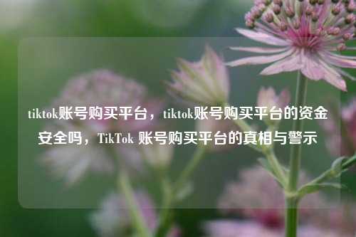 tiktok账号购买平台，tiktok账号购买平台的资金安全吗，TikTok 账号购买平台的真相与警示