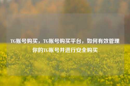 TG账号购买，TG账号购买平台，如何有效管理你的TG账号并进行安全购买