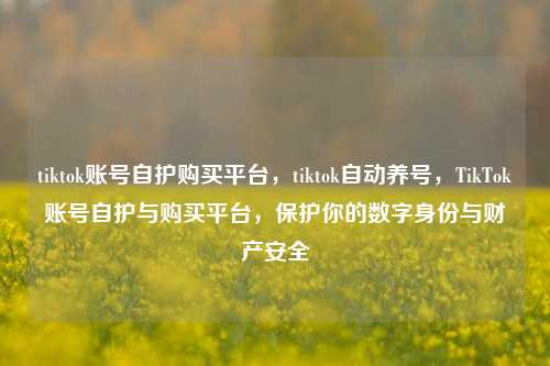 tiktok账号自护购买平台，tiktok自动养号，TikTok账号自护与购买平台，保护你的数字身份与财产安全