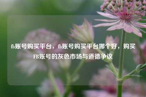 fb账号购买平台，fb账号购买平台哪个好，购买FB账号的灰色市场与道德争议