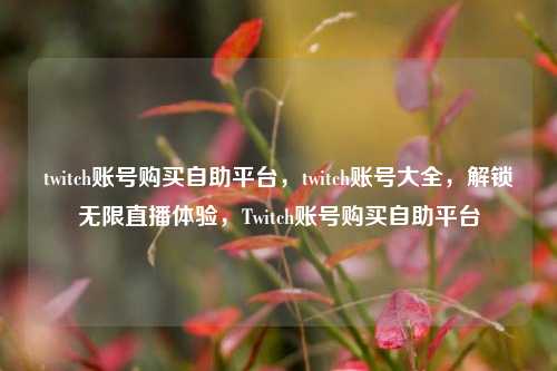 twitch账号购买自助平台，twitch账号大全，解锁无限直播体验，Twitch账号购买自助平台