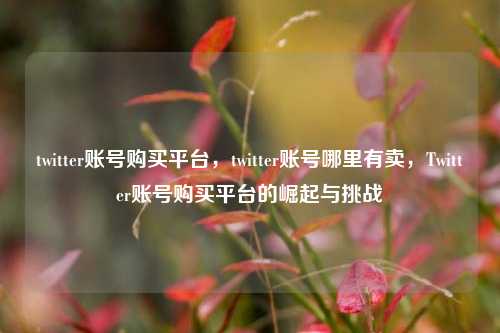 twitter账号购买平台，twitter账号哪里有卖，Twitter账号购买平台的崛起与挑战