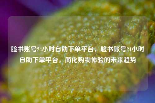 脸书账号24小时自助下单平台，脸书账号24小时自助下单平台	，简化购物体验的未来趋势  第1张