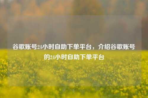 谷歌账号24小时自助下单平台，介绍谷歌账号的24小时自助下单平台
