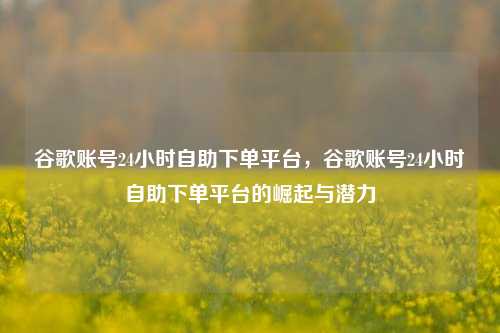 谷歌账号24小时自助下单平台，谷歌账号24小时自助下单平台的崛起与潜力