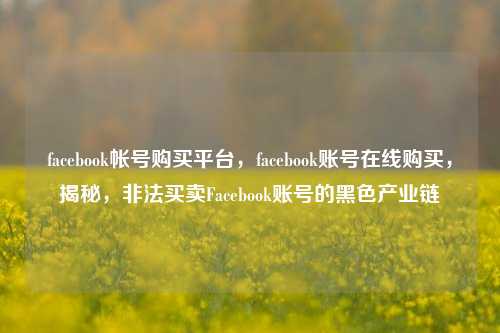 facebook帐号购买平台，facebook账号在线购买，揭秘，非法买卖Facebook账号的黑色产业链
