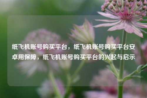 纸飞机账号购买平台，纸飞机账号购买平台安卓用保障，纸飞机账号购买平台的兴起与启示