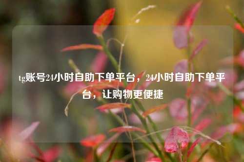 tg账号24小时自助下单平台，24小时自助下单平台，让购物更便捷