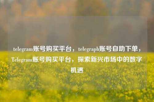 telegram账号购买平台，telegraph账号自助下单，Telegram账号购买平台，探索新兴市场中的数字机遇