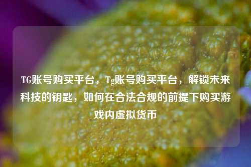 TG账号购买平台，Tg账号购买平台，解锁未来科技的钥匙，如何在合法合规的前提下购买游戏内虚拟货币