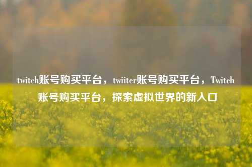 twitch账号购买平台，twiiter账号购买平台，Twitch 账号购买平台，探索虚拟世界的新入口