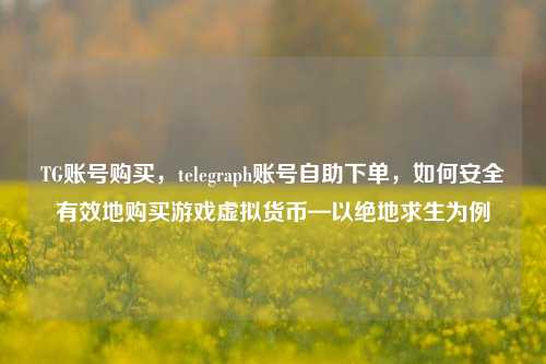 TG账号购买，telegraph账号自助下单，如何安全有效地购买游戏虚拟货币—以绝地求生为例