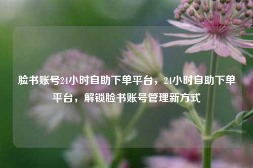 脸书账号24小时自助下单平台，24小时自助下单平台，解锁脸书账号管理新方式