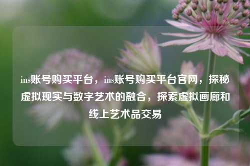 ins账号购买平台，ins账号购买平台官网，探秘虚拟现实与数字艺术的融合，探索虚拟画廊和线上艺术品交易