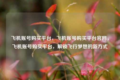 飞机账号购买平台，飞机账号购买平台官网，飞机账号购买平台，解锁飞行梦想的新方式