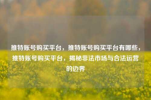 推特账号购买平台，推特账号购买平台有哪些，推特账号购买平台，揭秘非法市场与合法运营的边界