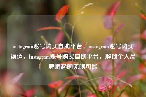 instagram账号购买自助平台，instagram账号购买渠道，Instagram账号购买自助平台，解锁个人品牌崛起的无限可能