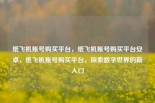 纸飞机账号购买平台，纸飞机账号购买平台安卓，纸飞机账号购买平台，探索数字世界的新入口