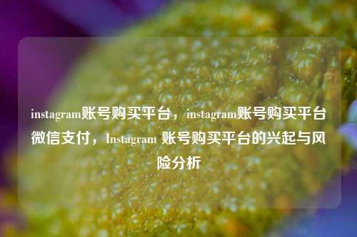 instagram账号购买平台，instagram账号购买平台微信支付，Instagram 账号购买平台的兴起与风险分析