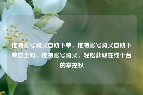 推特账号购买自助下单，推特账号购买自助下单安全吗，推特账号购买，轻松获取在线平台的掌控权