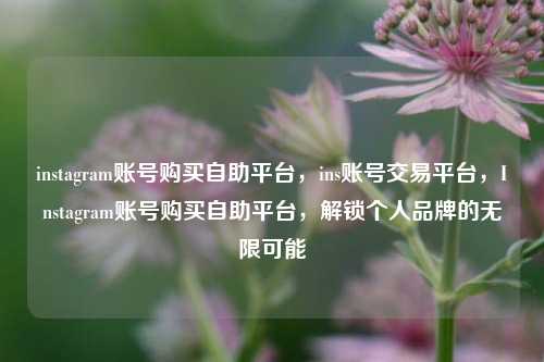instagram账号购买自助平台，ins账号交易平台，Instagram账号购买自助平台，解锁个人品牌的无限可能