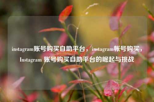instagram账号购买自助平台，instagram帐号购买，Instagram 账号购买自助平台的崛起与挑战
