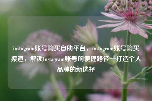 instagram账号购买自助平台，instagram账号购买渠道，解锁Instagram账号的便捷路径—打造个人品牌的新选择