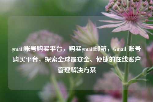 gmail账号购买平台，购买gmail邮箱，Gmail 账号购买平台，探索全球最安全、便捷的在线账户管理解决方案