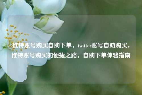 推特账号购买自助下单，twitter账号自助购买，推特账号购买的便捷之路，自助下单体验指南