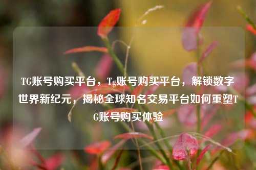 TG账号购买平台，Tg账号购买平台，解锁数字世界新纪元，揭秘全球知名交易平台如何重塑TG账号购买体验