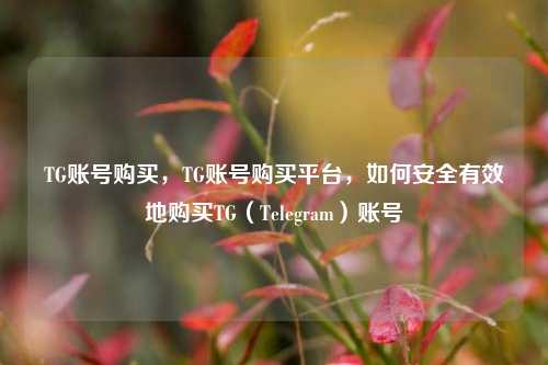 TG账号购买，TG账号购买平台，如何安全有效地购买TG（Telegram）账号  第1张