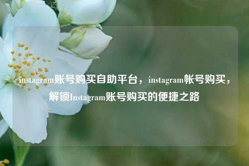 instagram账号购买自助平台，instagram帐号购买，解锁Instagram账号购买的便捷之路