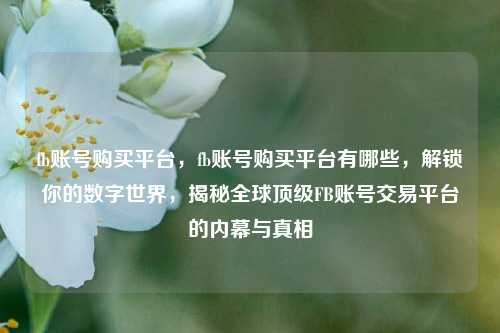 fb账号购买平台，fb账号购买平台有哪些，解锁你的数字世界，揭秘全球顶级FB账号交易平台的内幕与真相