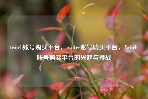 twitch账号购买平台，twiiter账号购买平台，Twitch账号购买平台的兴起与挑战