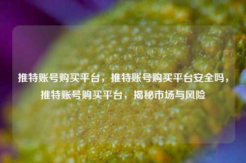 推特账号购买平台，推特账号购买平台安全吗，推特账号购买平台，揭秘市场与风险