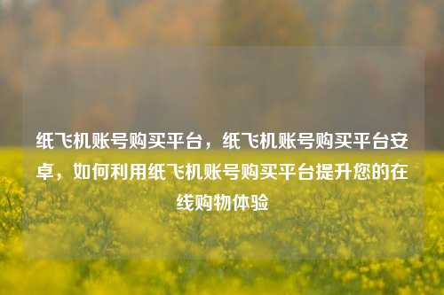 纸飞机账号购买平台，纸飞机账号购买平台安卓，如何利用纸飞机账号购买平台提升您的在线购物体验