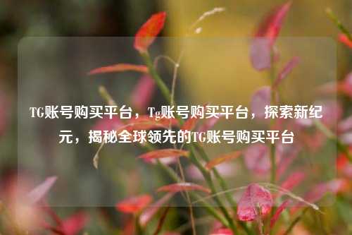 TG账号购买平台，Tg账号购买平台，探索新纪元，揭秘全球领先的TG账号购买平台