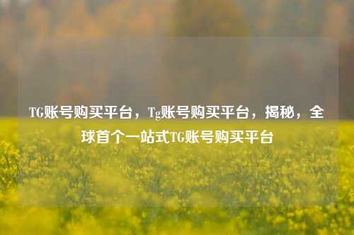 TG账号购买平台，Tg账号购买平台，揭秘，全球首个一站式TG账号购买平台