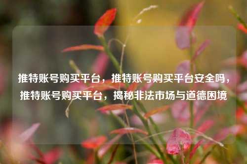 推特账号购买平台，推特账号购买平台安全吗，推特账号购买平台，揭秘非法市场与道德困境