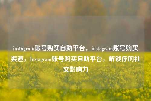 instagram账号购买自助平台，instagram账号购买渠道，Instagram账号购买自助平台，解锁你的社交影响力