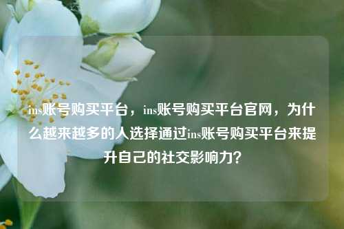 ins账号购买平台，ins账号购买平台官网，为什么越来越多的人选择通过ins账号购买平台来提升自己的社交影响力？