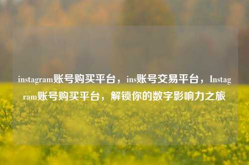 instagram账号购买平台，ins账号交易平台，Instagram账号购买平台，解锁你的数字影响力之旅