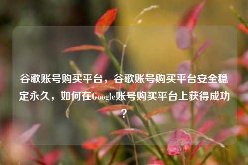 谷歌账号购买平台，谷歌账号购买平台安全稳定永久，如何在Google账号购买平台上获得成功？