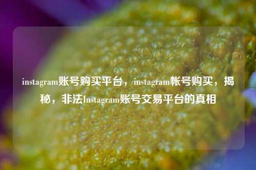 instagram账号购买平台，instagram帐号购买，揭秘，非法Instagram账号交易平台的真相