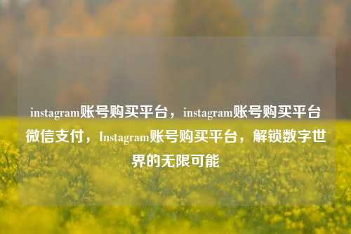 instagram账号购买平台，instagram账号购买平台微信支付，Instagram账号购买平台，解锁数字世界的无限可能