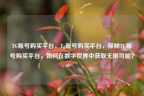 TG账号购买平台，Tg账号购买平台，探秘TG账号购买平台，如何在数字世界中获取无限可能？