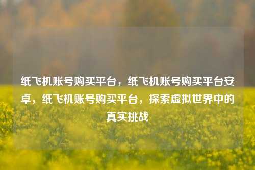 纸飞机账号购买平台，纸飞机账号购买平台安卓，纸飞机账号购买平台，探索虚拟世界中的真实挑战