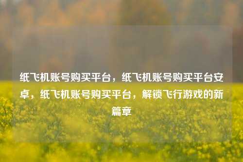 纸飞机账号购买平台，纸飞机账号购买平台安卓，纸飞机账号购买平台，解锁飞行游戏的新篇章